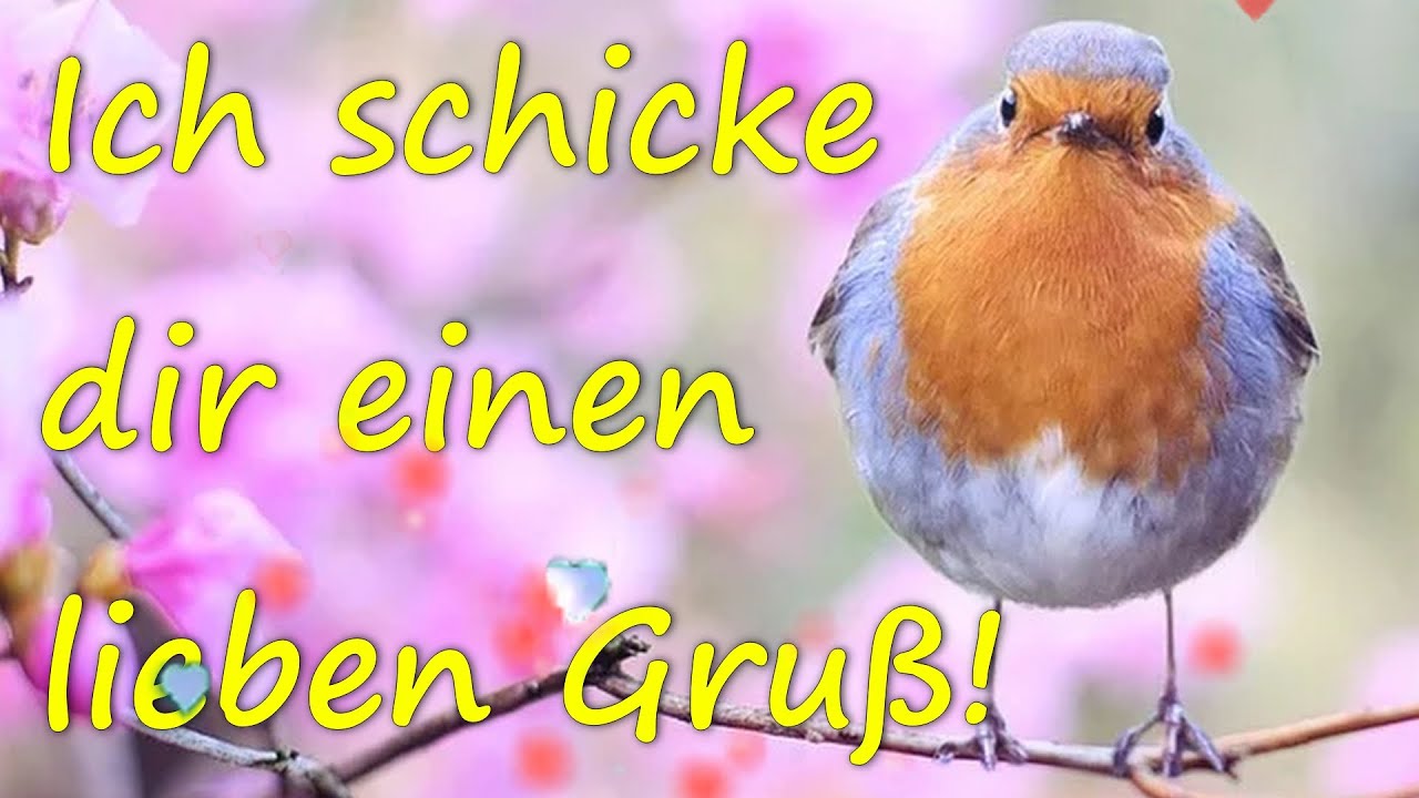 Kurze Gr&uuml;&szlig;e am Sonntag!☀️🍀😉