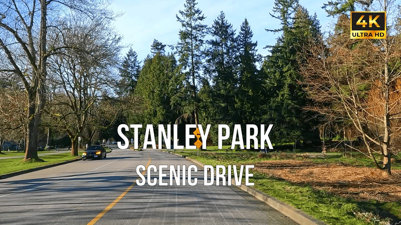 Scenic Drive Through Stanley Park in Vancouver 🇨🇦 | Seawall, Forest & Ocean Views | 4K #canada