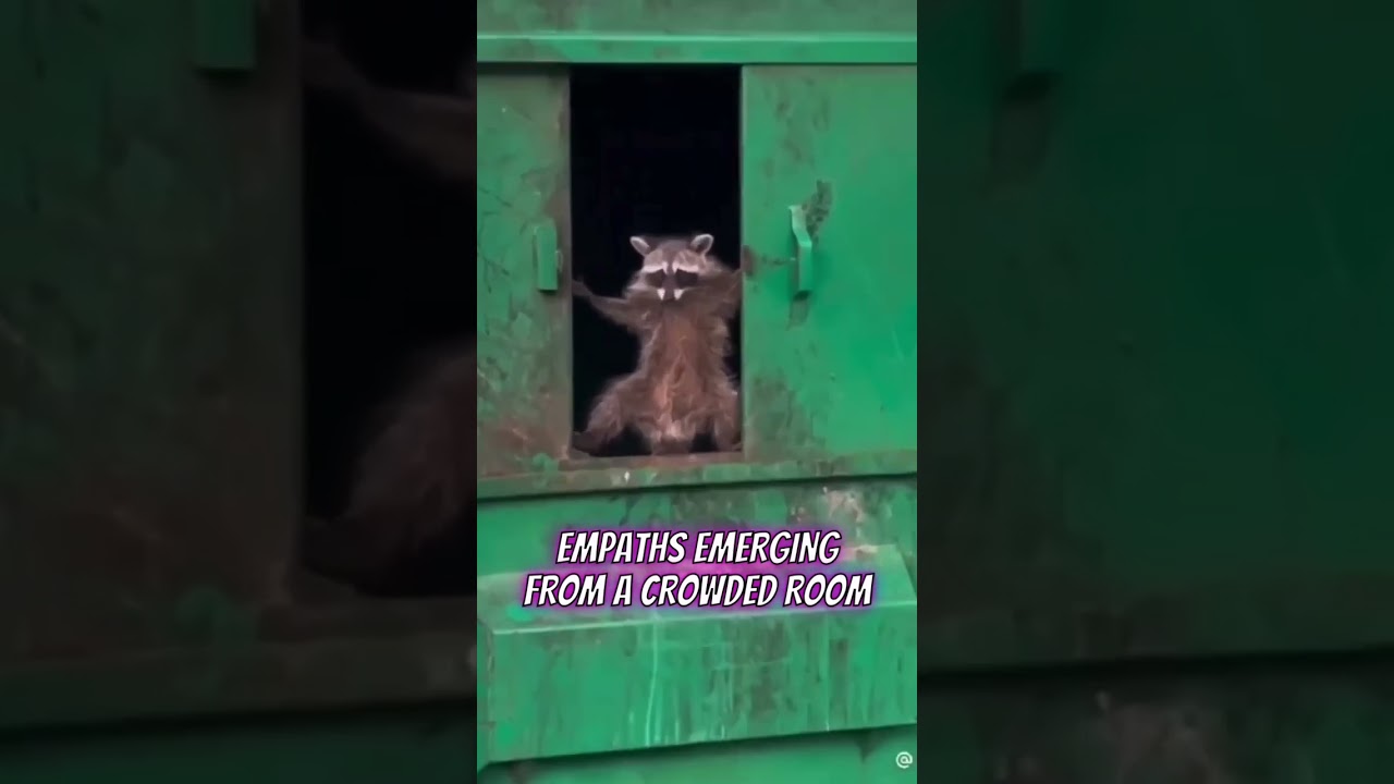 Empath problems. #empathproblems #exhaust #tired #empaths #racoon #shorts #shortsfeed #short