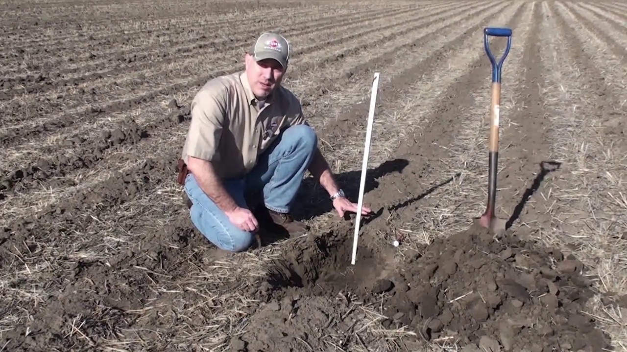 Profit Tillage Focus: Focus on Strip-Till