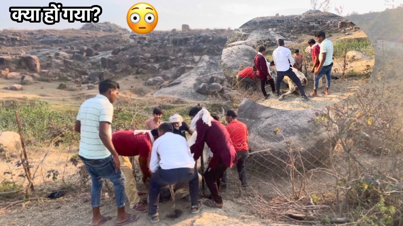 आज एक बहुत अच्छा काम किया सभी लोगों के साथ 😳The DP Vlogs 