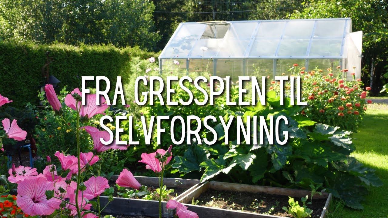 Fra gressplen til selvforsyning