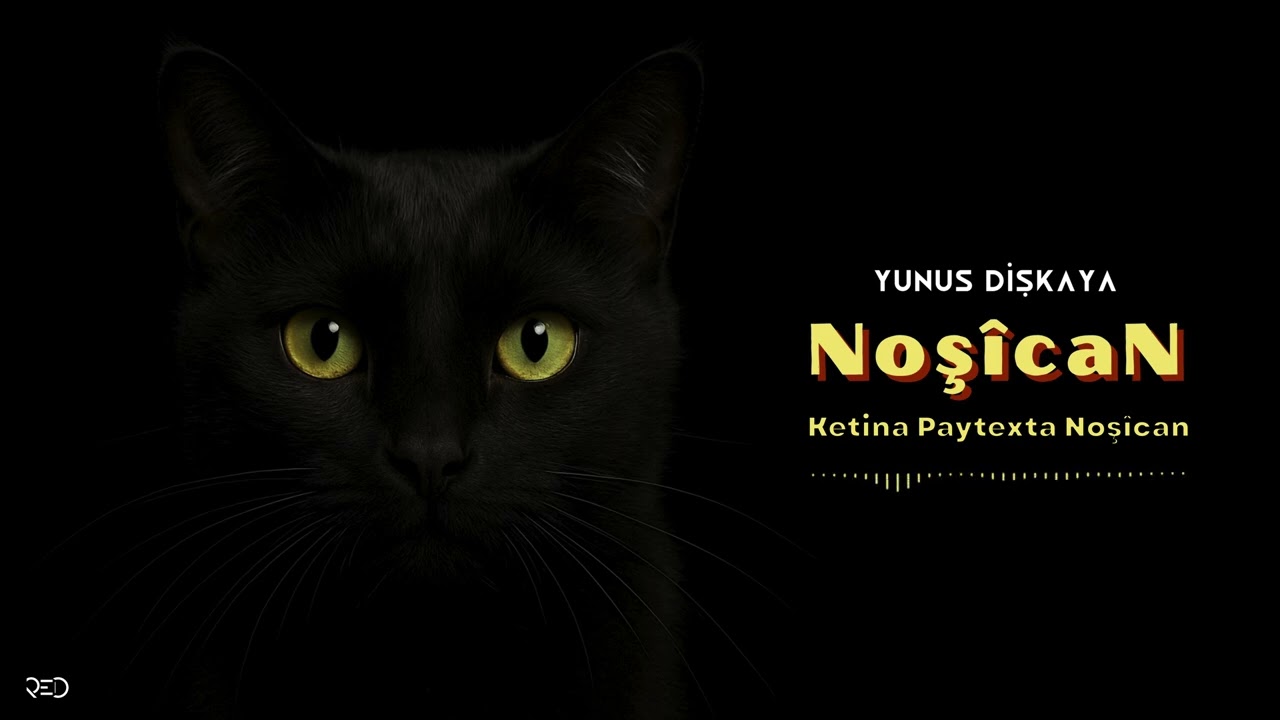 Yunus Dişkaya - Ketina Paytexta Noşîcan [Official Audio]