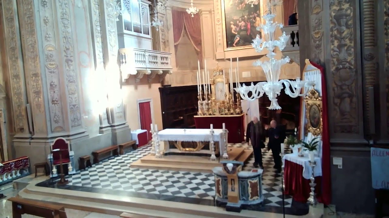 prova organo