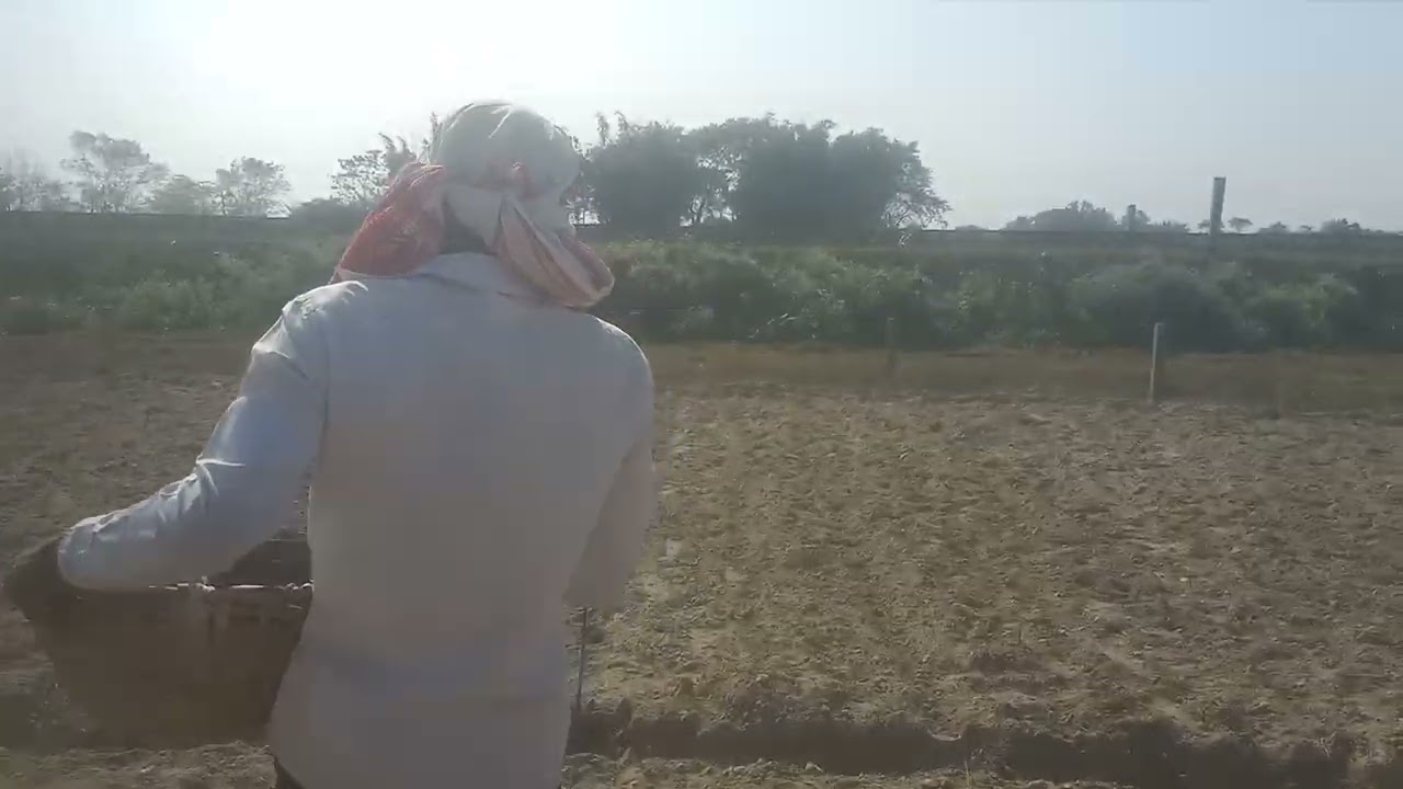 MS AGRO FARM ###