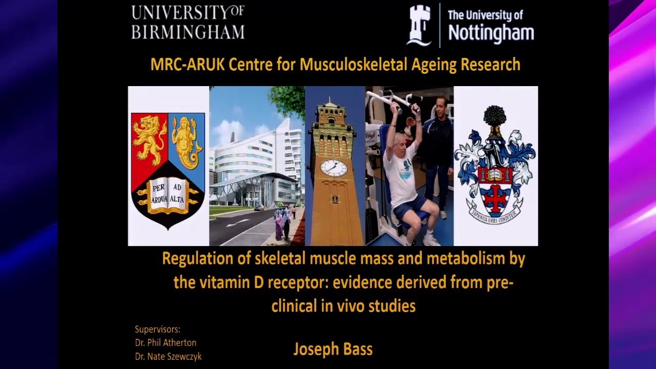 Regulation of skeletal muscle mass and metabolism by the vitamin D receptor, Joseph Bass