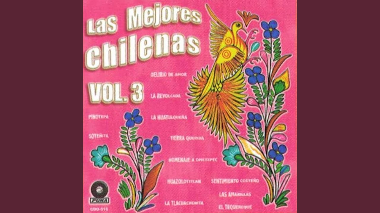 La Tlacuacheñita