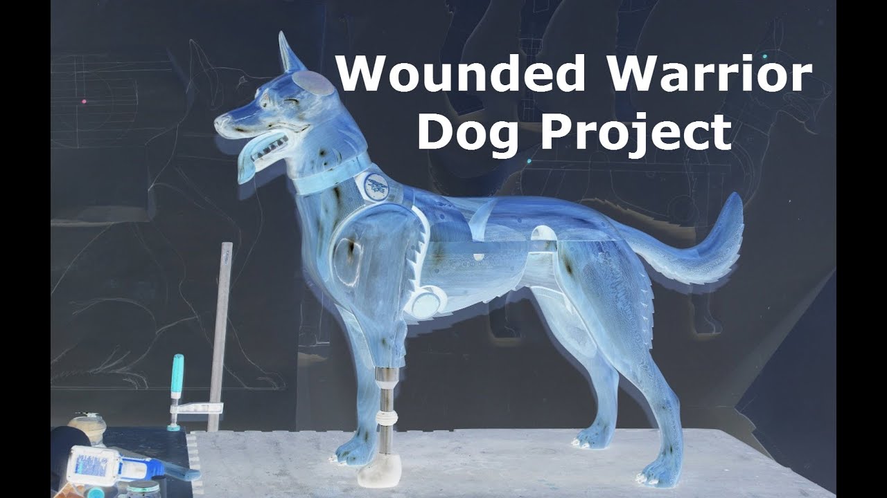 Wounded Warrior Dog Project