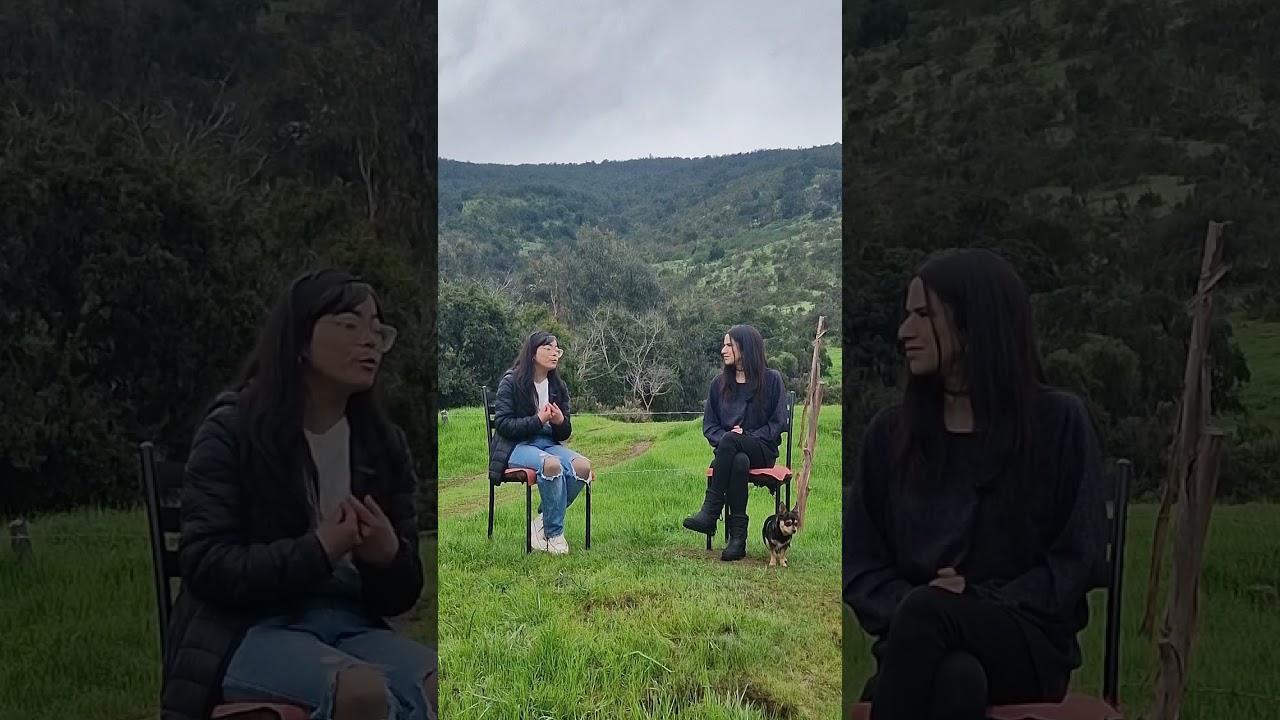 DMPDV #19 Maria Jose Hernandez, Jdez