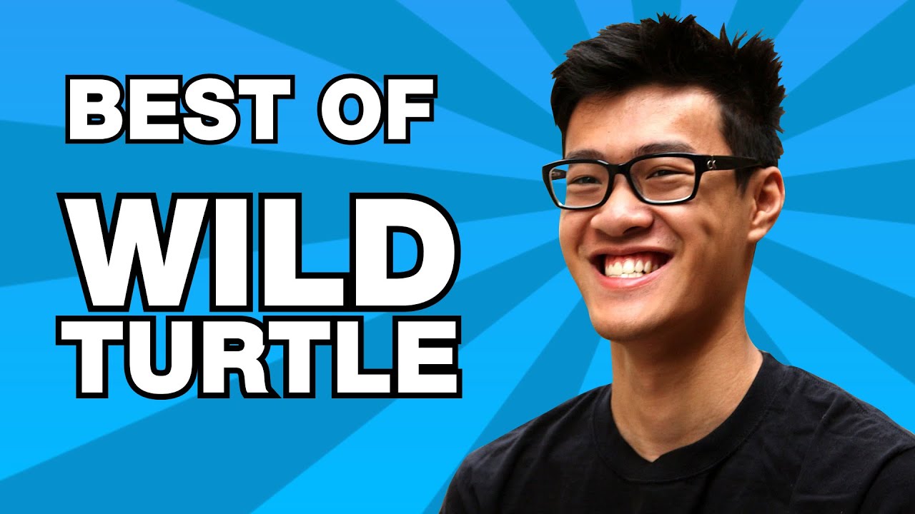 Best of WildTurtle | Not Actually a Turtle