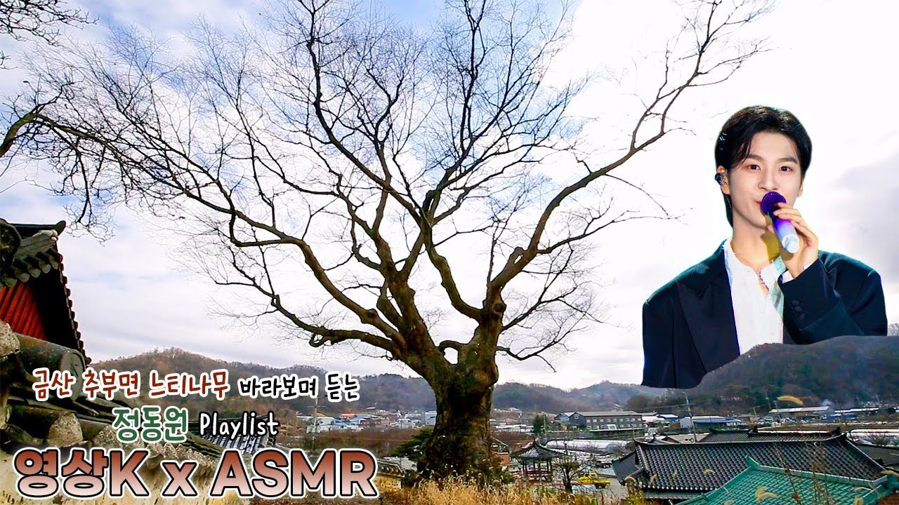 뱃놀이🚤 #정동원 과 함께하는 금산군 추부면 추정리 느티나무 / KBS 대전