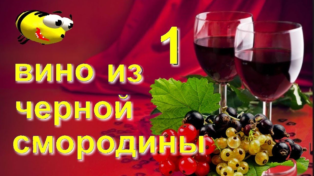 Домашнее вино из черной смородины (часть 1)