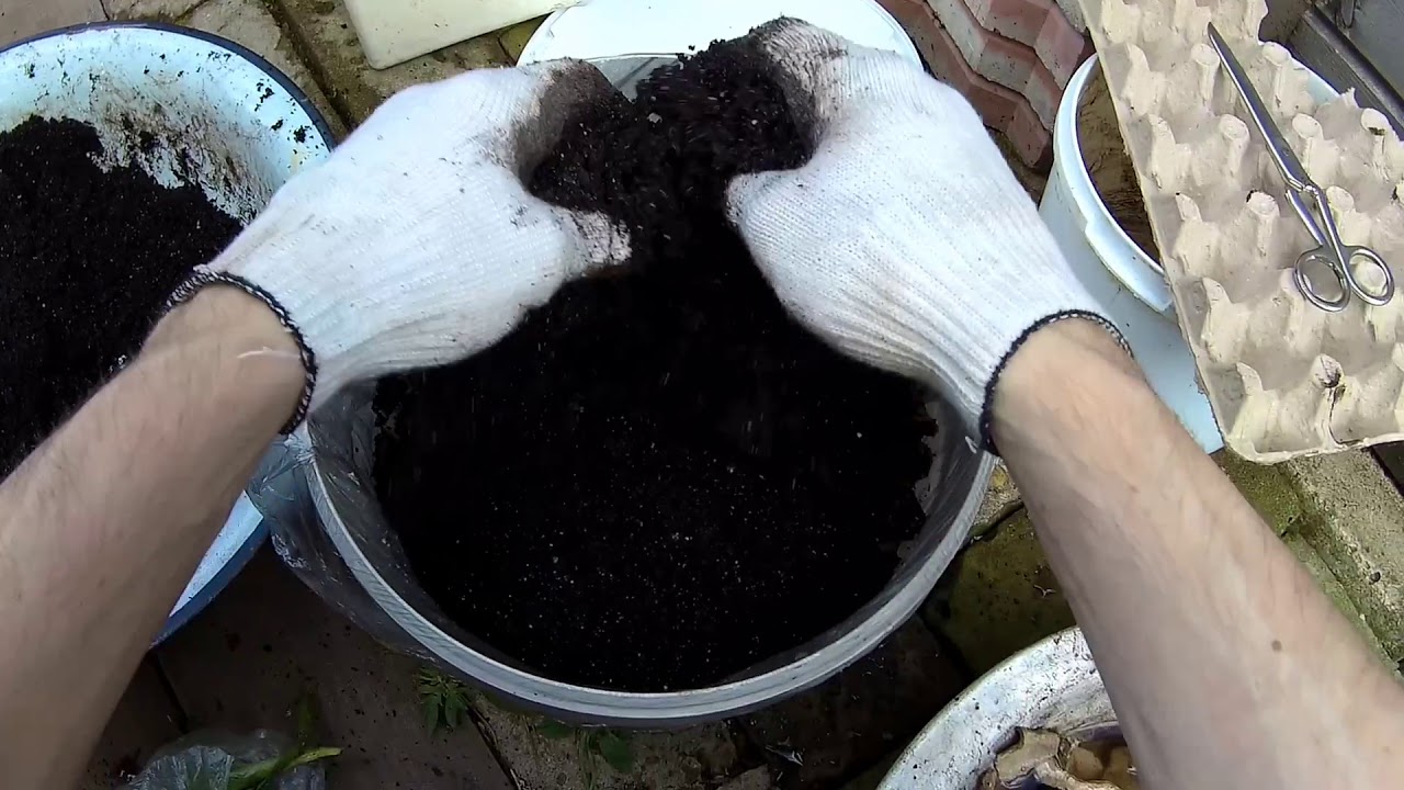 ЕР - 3 ЕДА ДЛЯ ЧЕРВЕЙ ДЕНДРОБЕНА И СТАРАТЕЛЬ