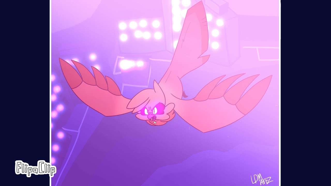 !Catilist Flying!