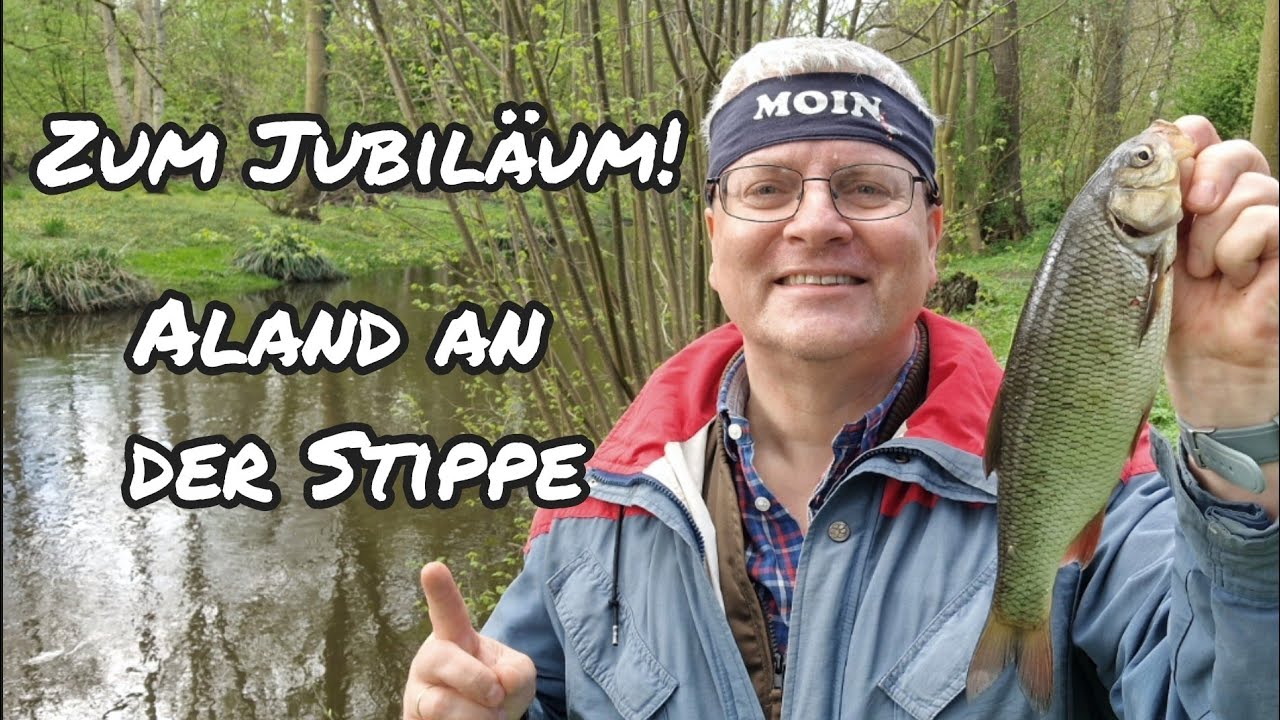 Vielen DANK an alle Zuschauer!!! Mit der STIPPE beim JUBILÄUM.