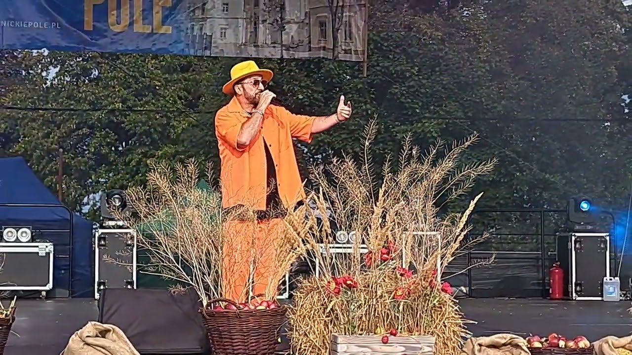 Koncert zespołu BOYS w Legnickim Polu (mix) 