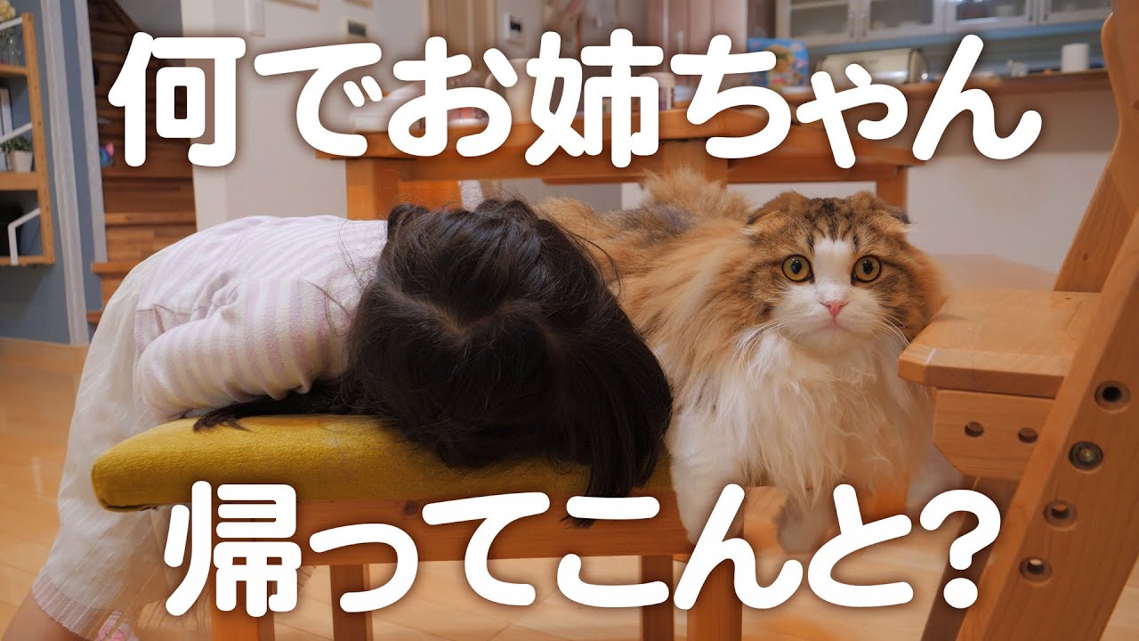 雨の日、小4長女が帰ってこない