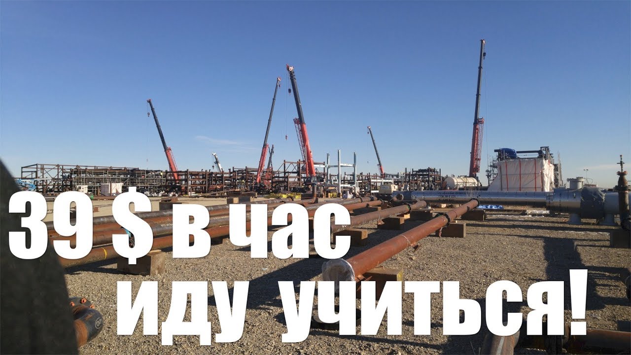 Новая работа | 39$ в час | Приехал в Калгари | Палим мосты | Networking |