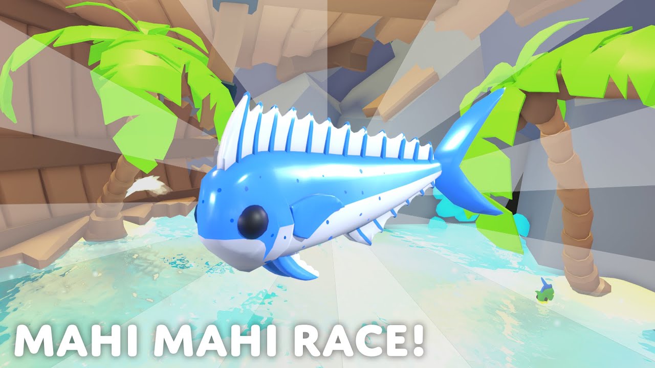 DIAMOND MAHI MAHI RACE! Who Will CATCH ONE FIRST? Adopt Me! Beach Update!