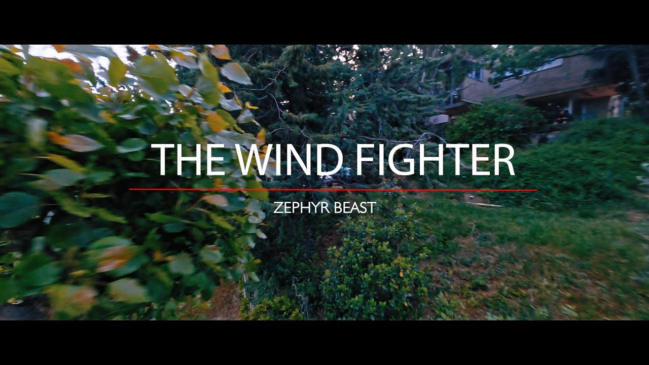 The Zephyr Beast in action into windy conditions !