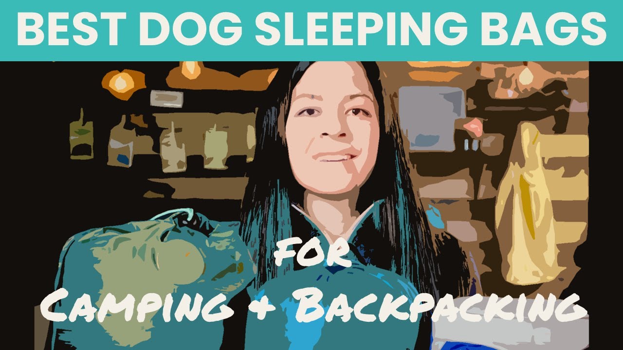 BEST Dog Sleeping Bags | Ruffwear, Wilderdog, Whyld River | Dog Sleeping Bags for Backpacking
