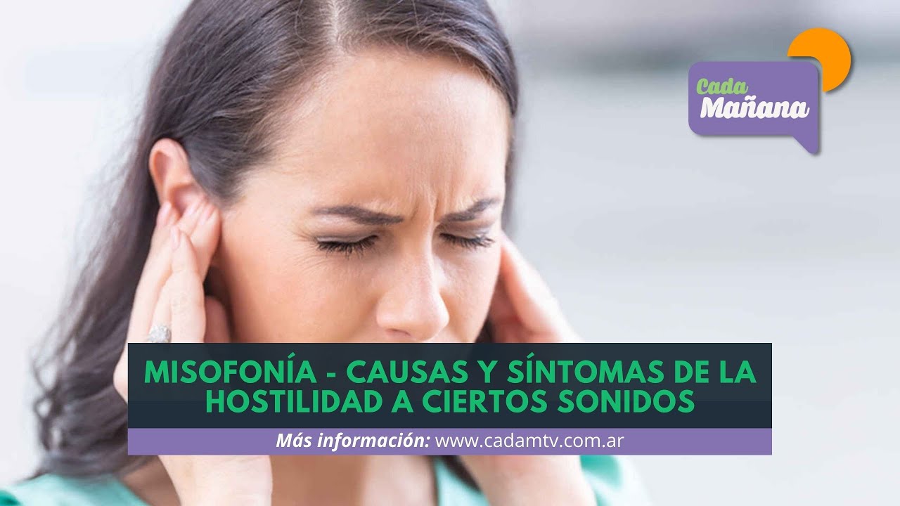 MISOFONÍA - CAUSAS Y SÍNTOMAS DE LA HOSTILIDAD A CIERTOS SONIDOS