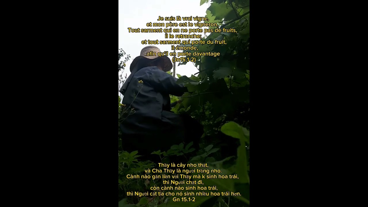 Jardin du curé à Lille-Fives