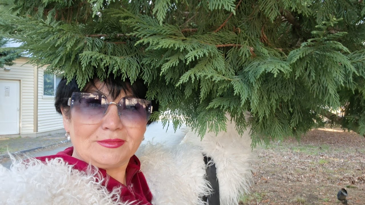 Ольгинка/ прогулялись по Гамме и  едем на каштановый суп👌