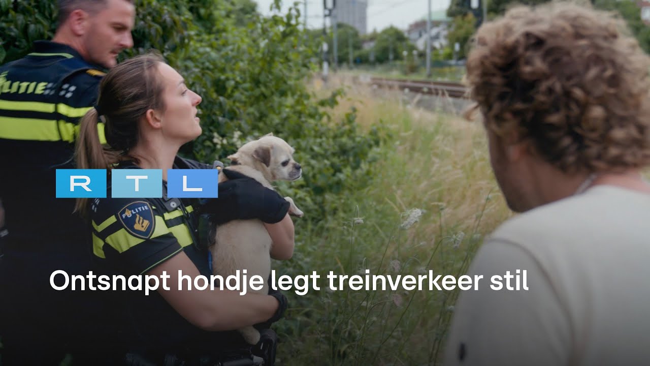Ewout en agenten in wilde achtervolging: Hondje weer ontsnapt na redding | Bureau Maastricht