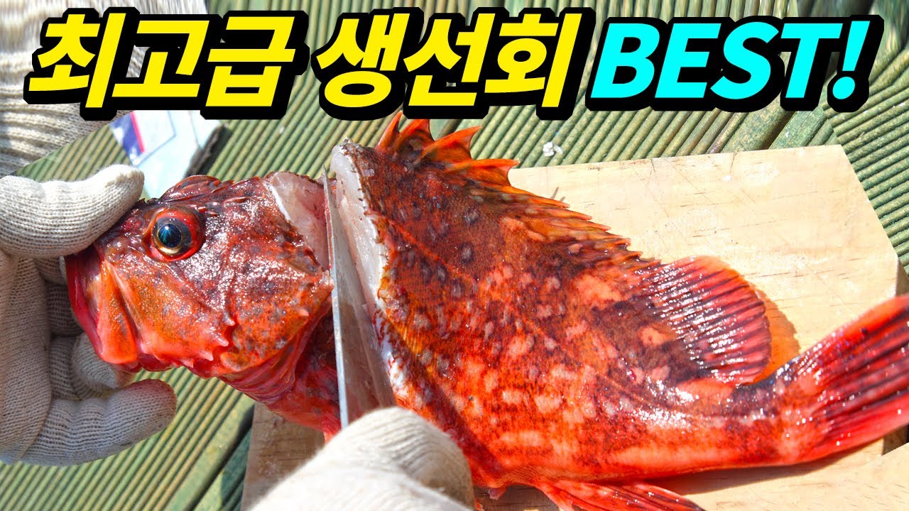 어류 전문가가 꼽은 