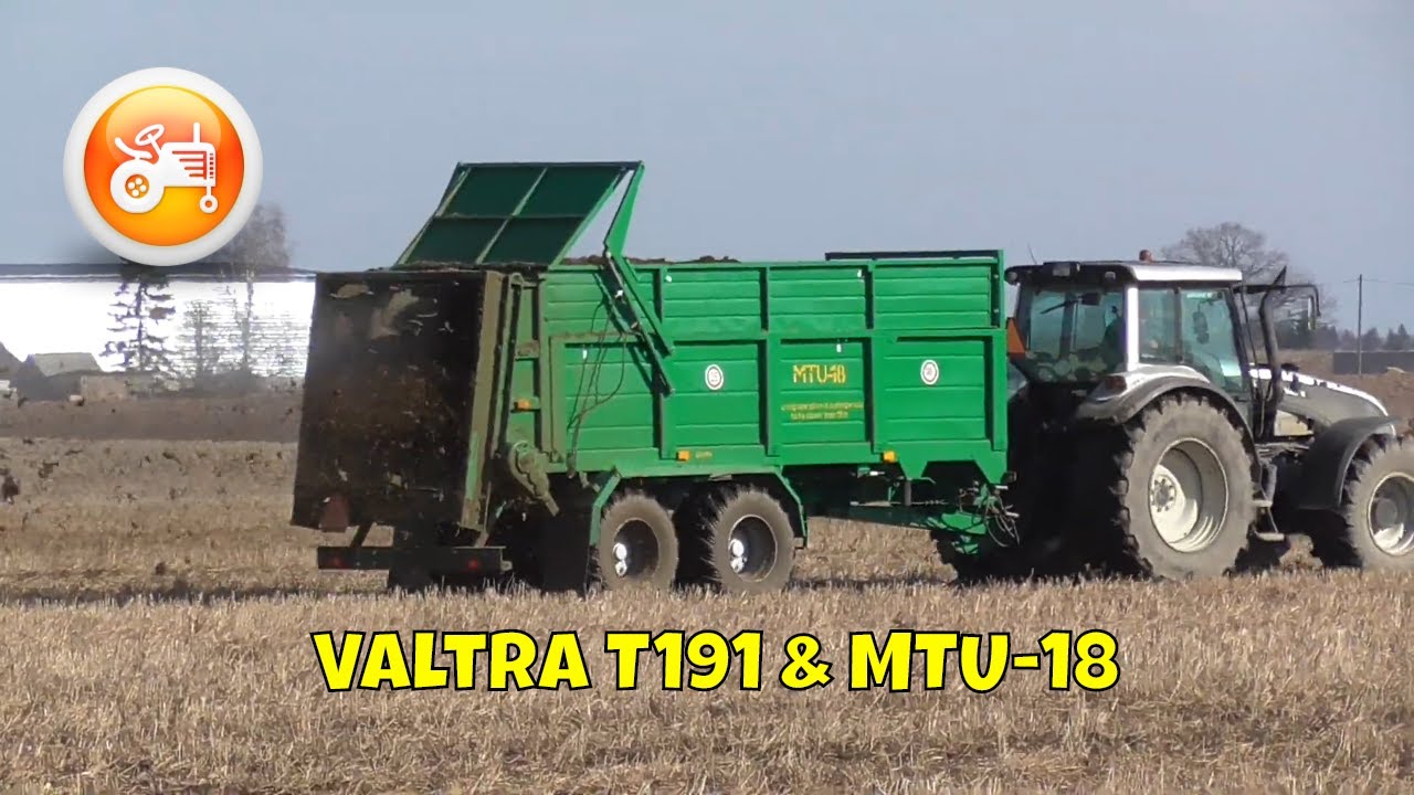 Spreading Manure 2020 | Agromash MTU-18 manure spreader with Valtra