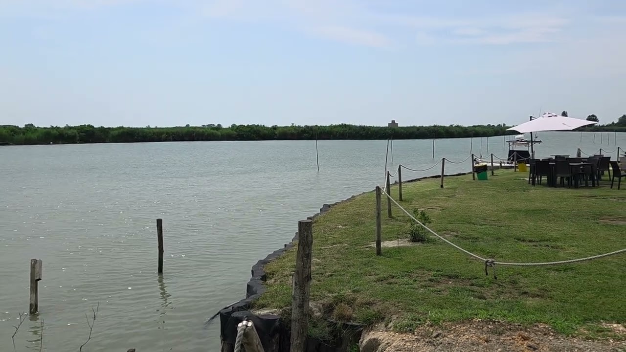 Il delta del Po al ristorante il Porticciolo a Scardovari 06 07 2025