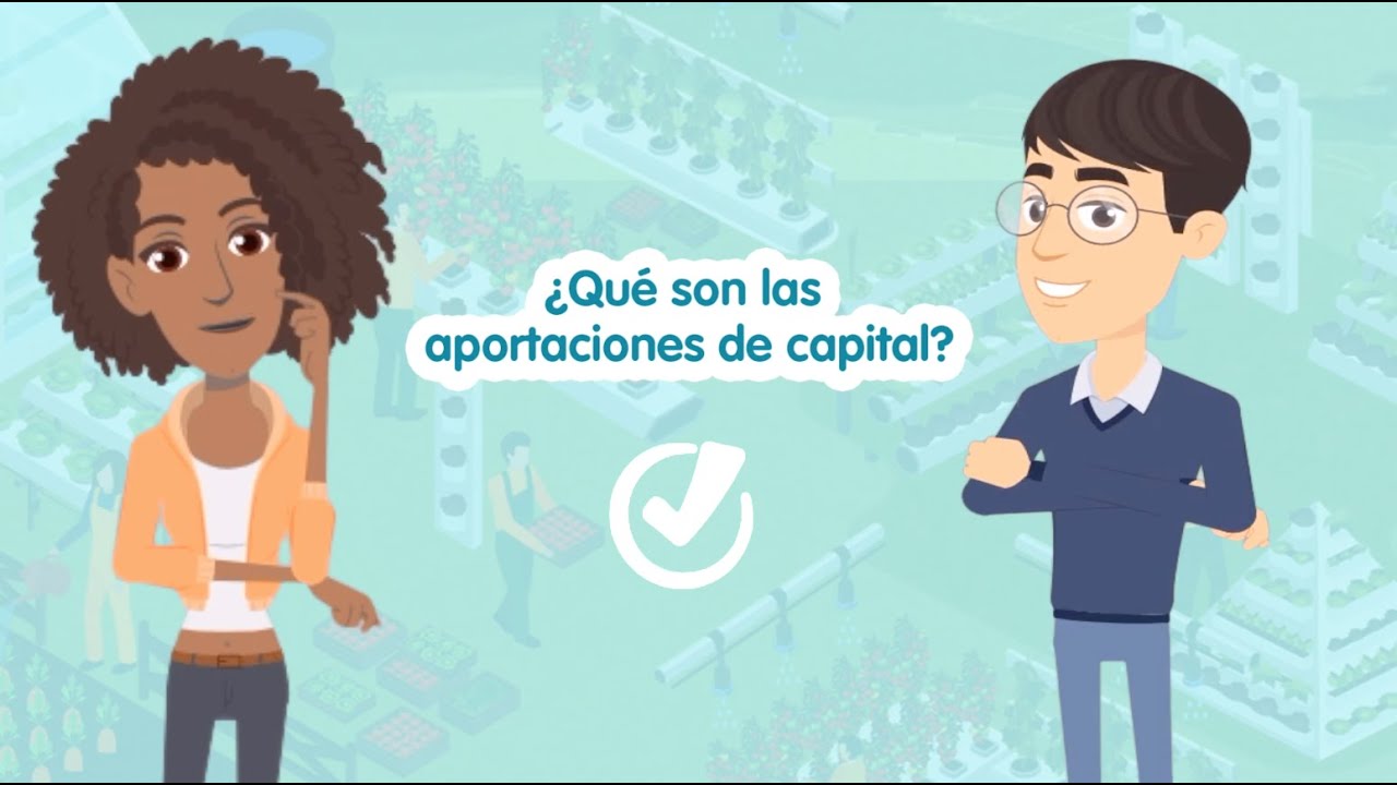 &iquest;Qu&eacute; son las aportaciones de capital?