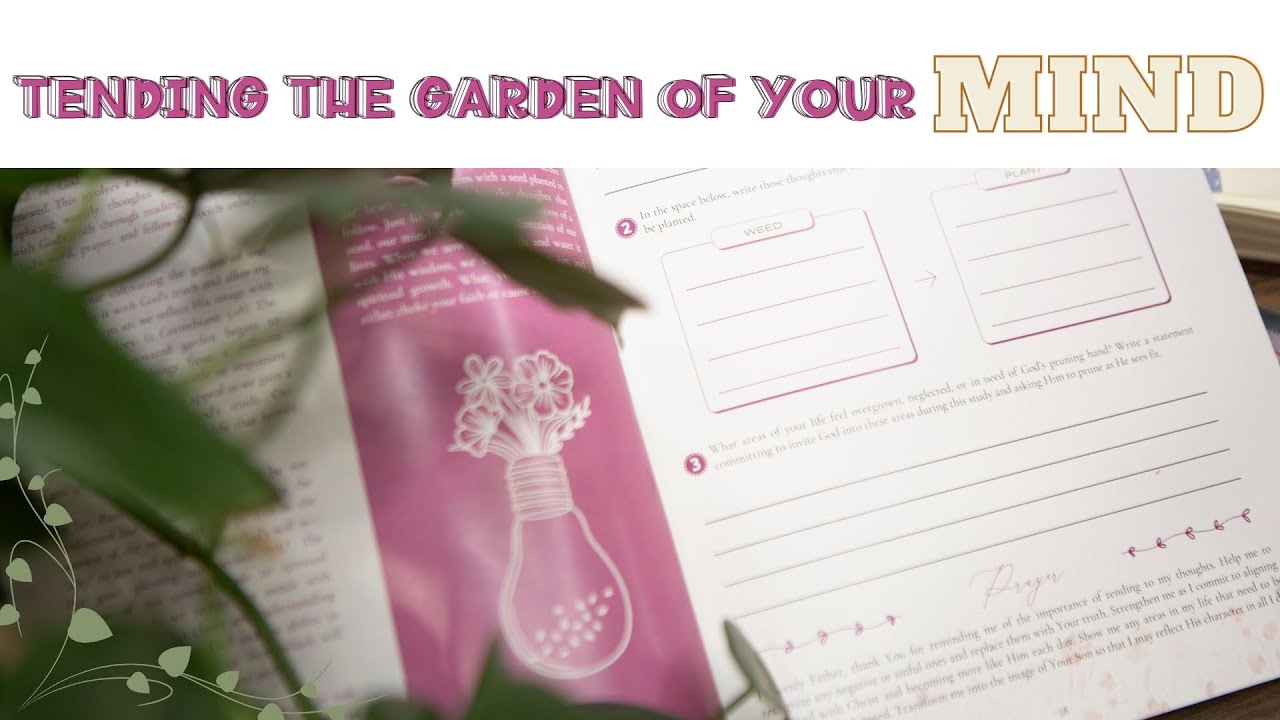 Renewing the Mind: How to Recognize & Weed Out Harmful Thoughts