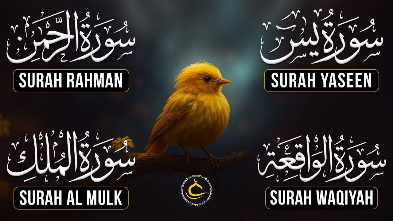 The Best Recitation Surah Yaseen (Yasin) | Surah Rahman | Surah Waqiah | Surah Mulk