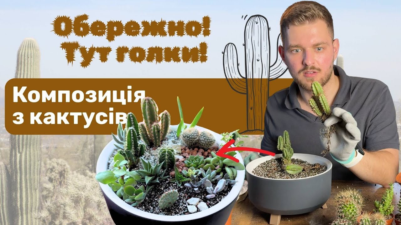 Незвичний спосіб вирощувати кактуси. Композиція з кактусів своїми руками
