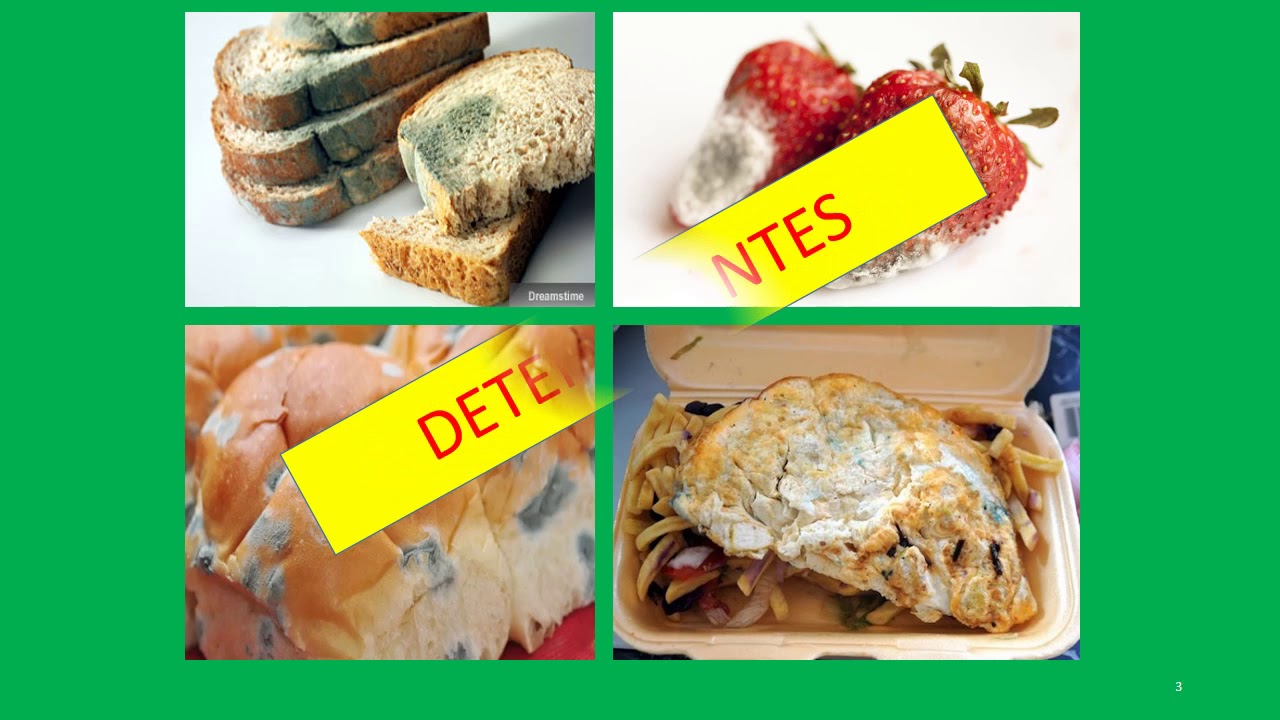 Classificação dos microganismos de acordo com alimentos