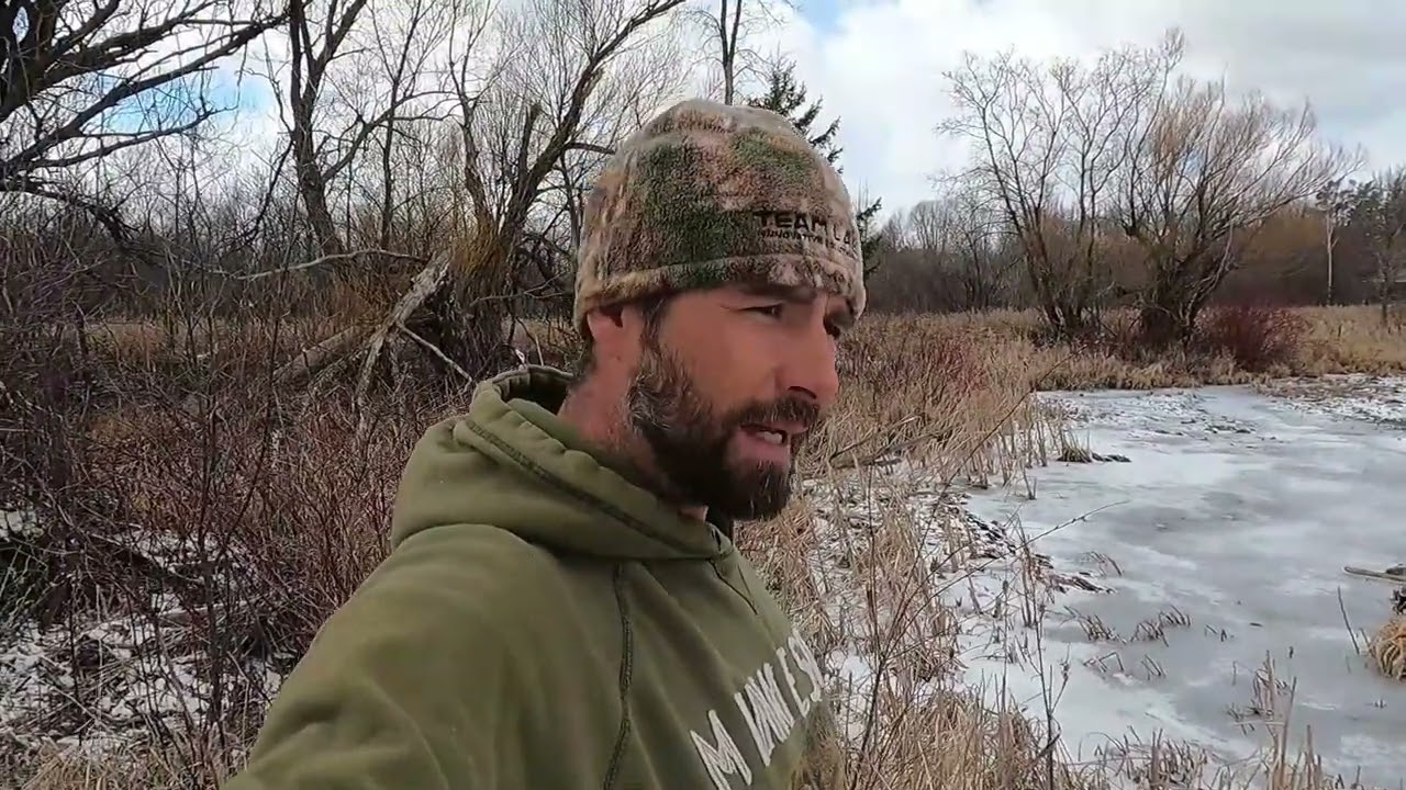 Спрятанная ловушка для бобра прямо у общественного доступа! (Весенняя распаковка приманки для бобра)
