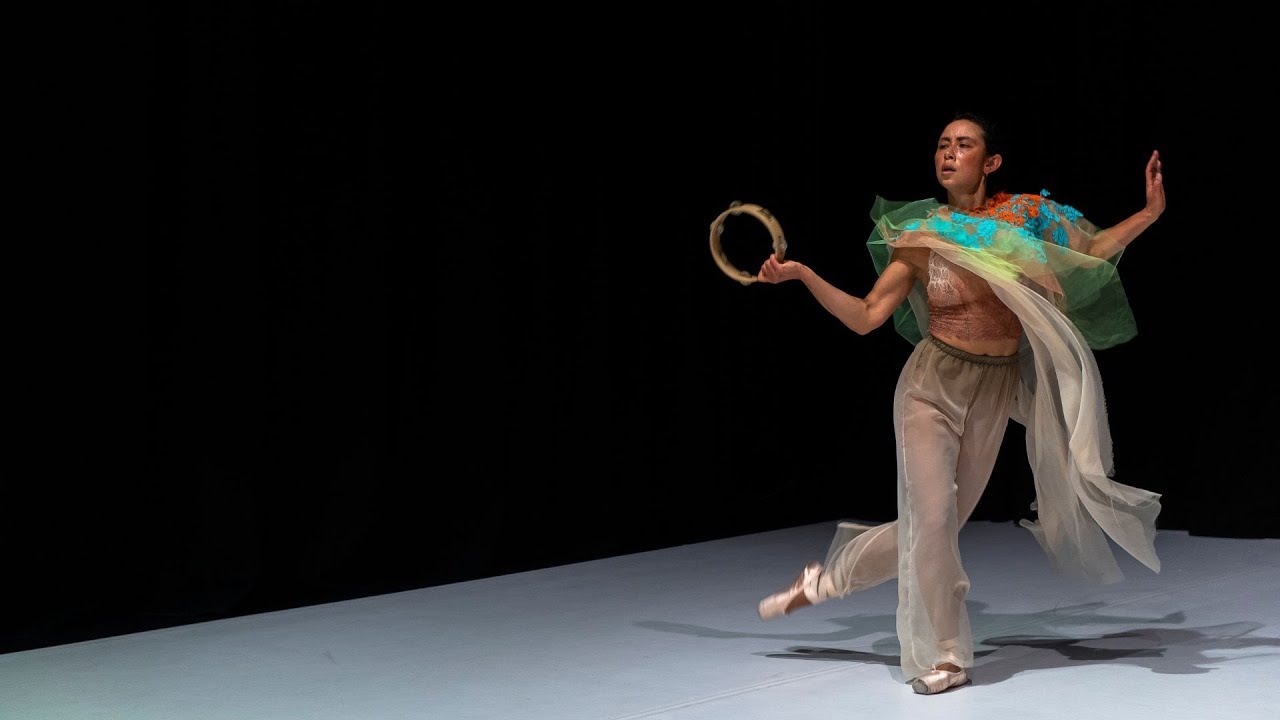 Siren Dance by Lilian Steiner (Trailer)