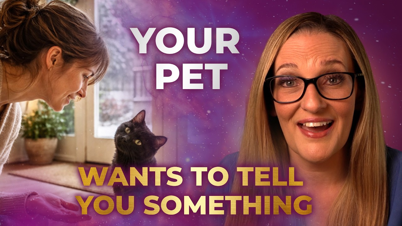 Your Pet is Talking to You, Are You Listening? Animal Communication is Easier Than You Think