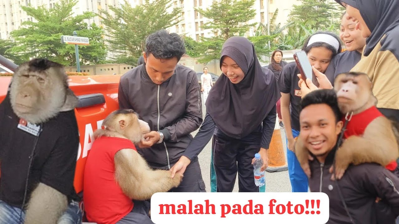 bawa monyet beruk ketengah keramaian orang yang olahraga di Summarecon Bekasi