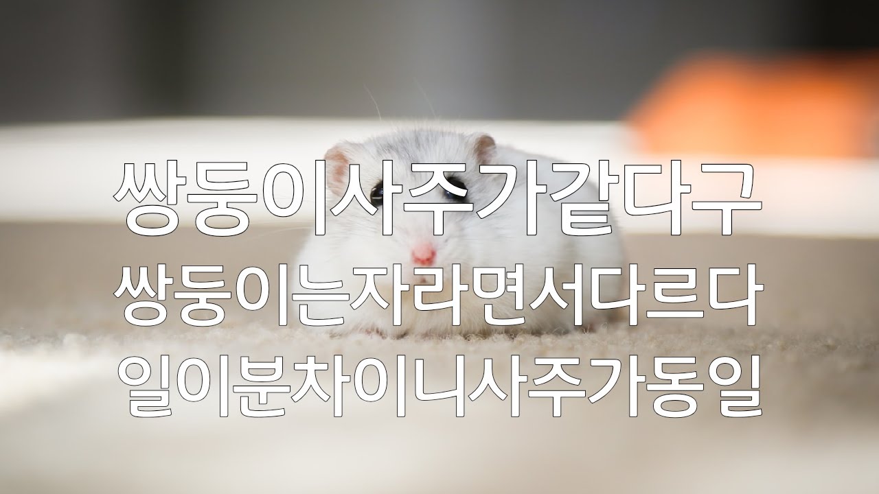 작명사주1000강  쌍둥이사주는같다따라서 이름도 돌림자로 작명해 싸둥이형제라는것을드러낸다