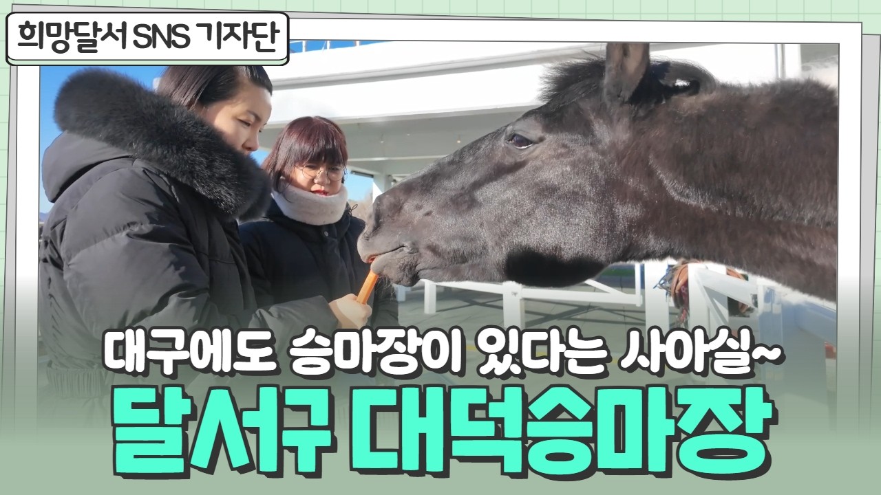 [SNS기자단] 대구 도심에도 승마장이?! | 대덕승마장