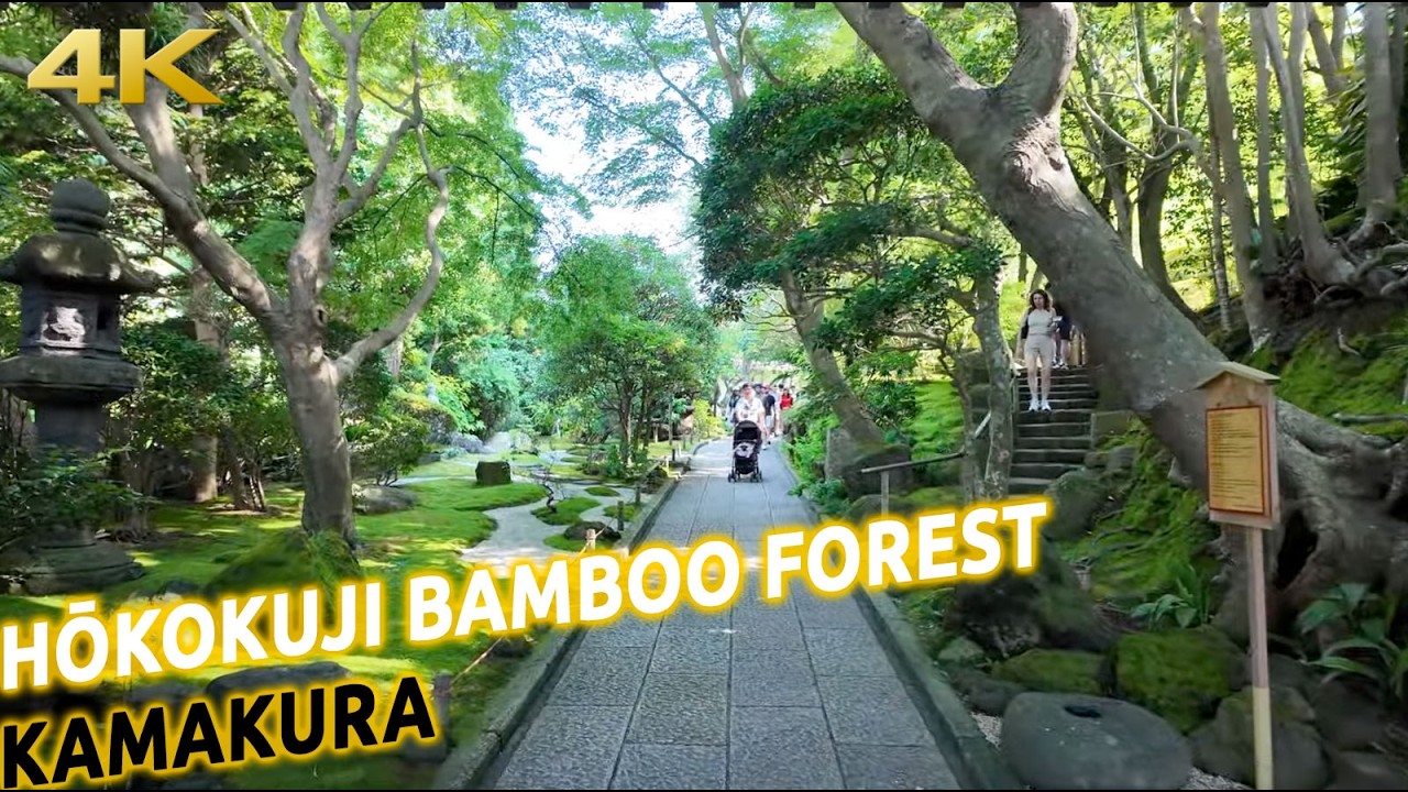 This is Kamakura's Hōkoku-ji Takenomori (Takedera's Bamboo Forest) · Japan in 4K