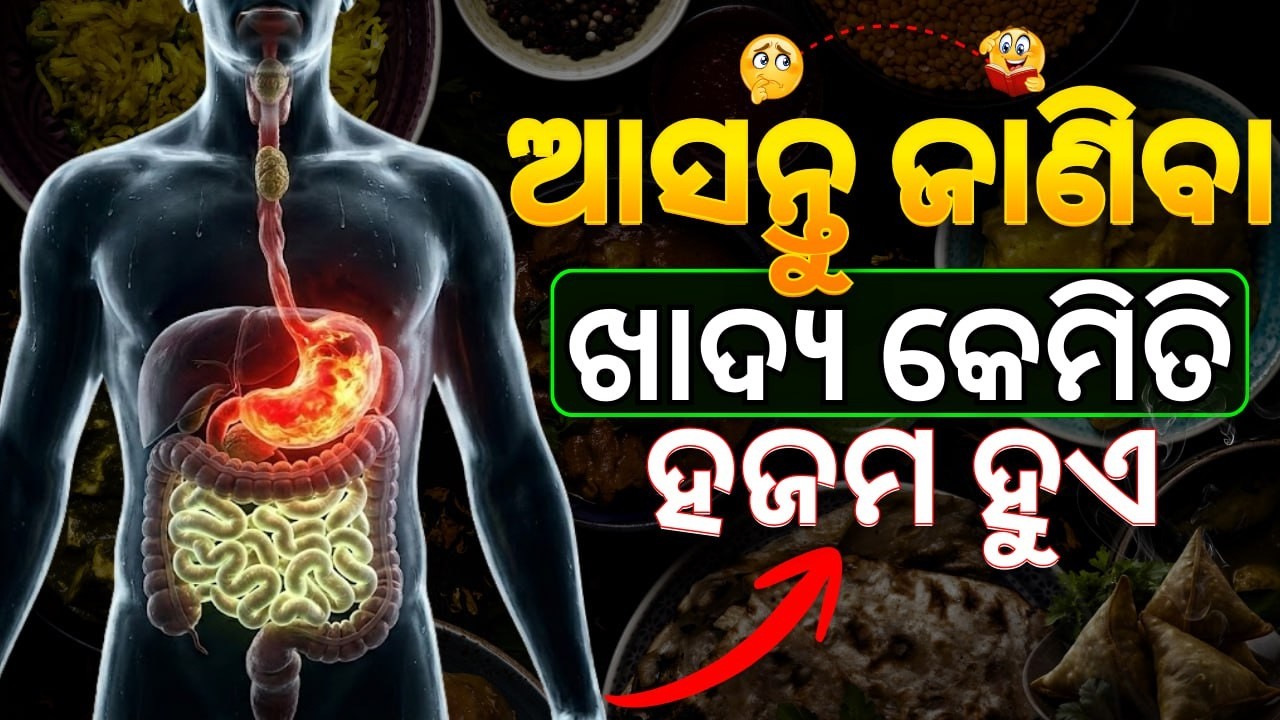 Let's Learn How Food Digests I The Journey of Food : Inside the Human Body