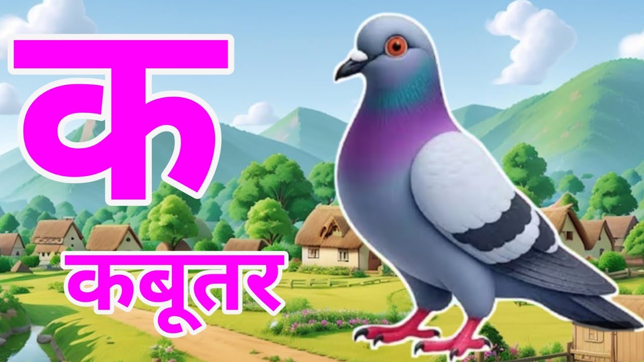 क से कबूतर, अ से अनार k se kabutar a se anar | हिन्दी वर्णमाला | क से कबूतर अ से अनार,for kids