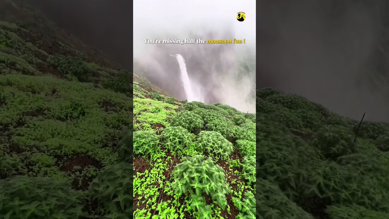 Aadrai Jungle Trek, Maharashtra  