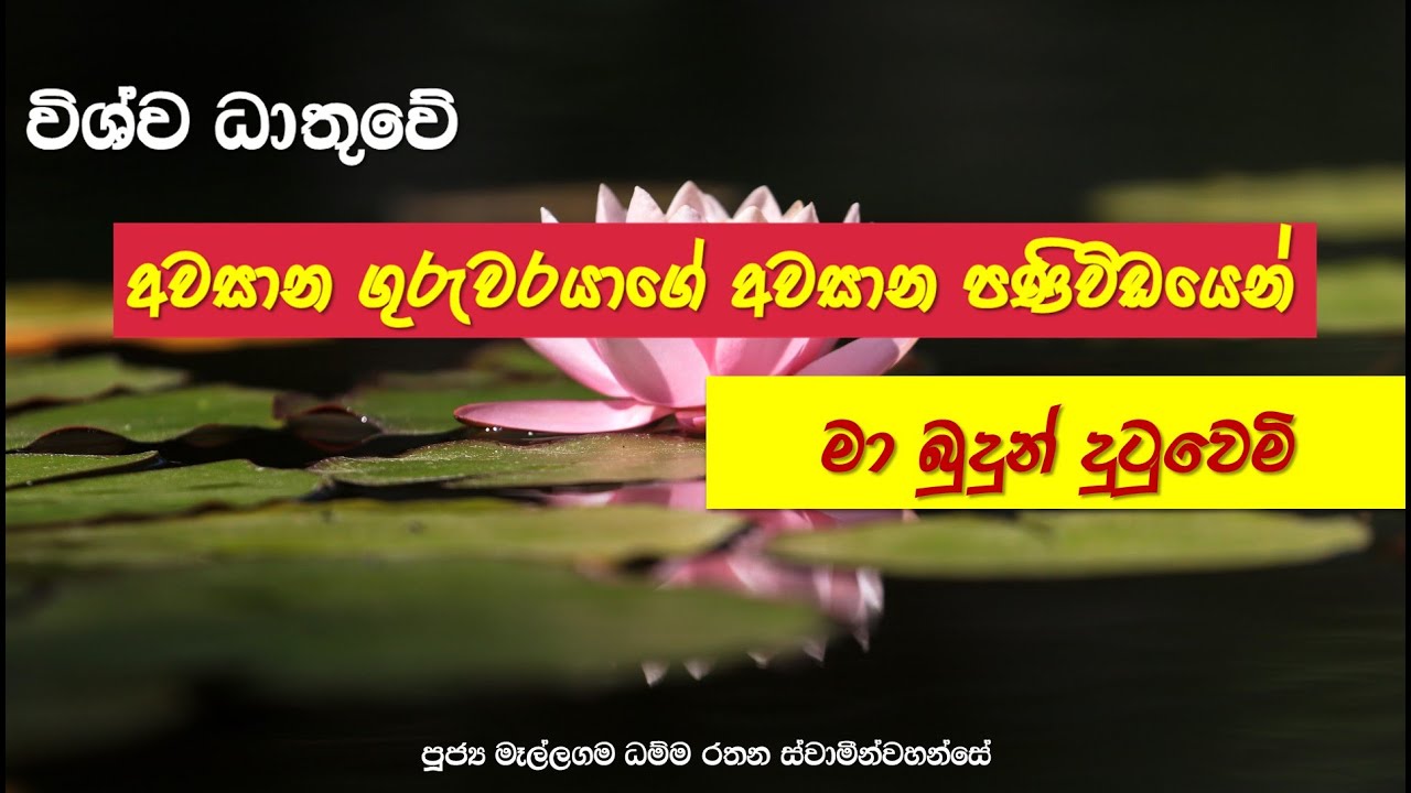 විශ්ව ධාතුවේ අවසාන ගුරුවරයාගේ අවසාන පණිවිඩයෙන් මා බුදුන් දුටුවෙමි