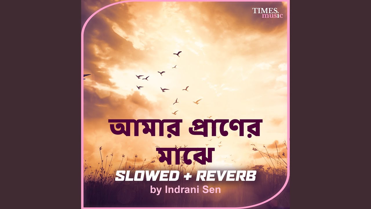 Amar Praner Majhe (Slowed + Reverb)