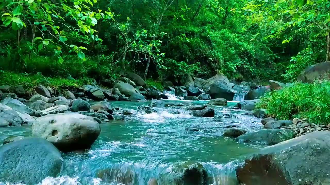 Beautiful Flowing Stream - Soothing Nature ASMR for Sleep, Focus and Relaxation, ASMR